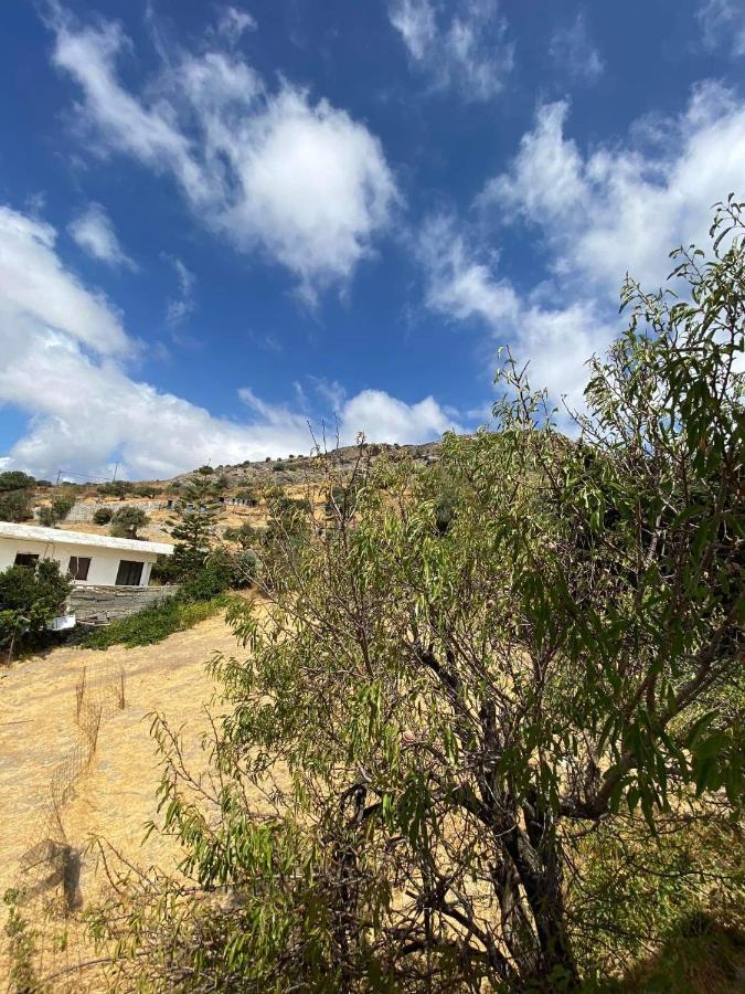 Holiday home Giannis-kleopatra House 1 *